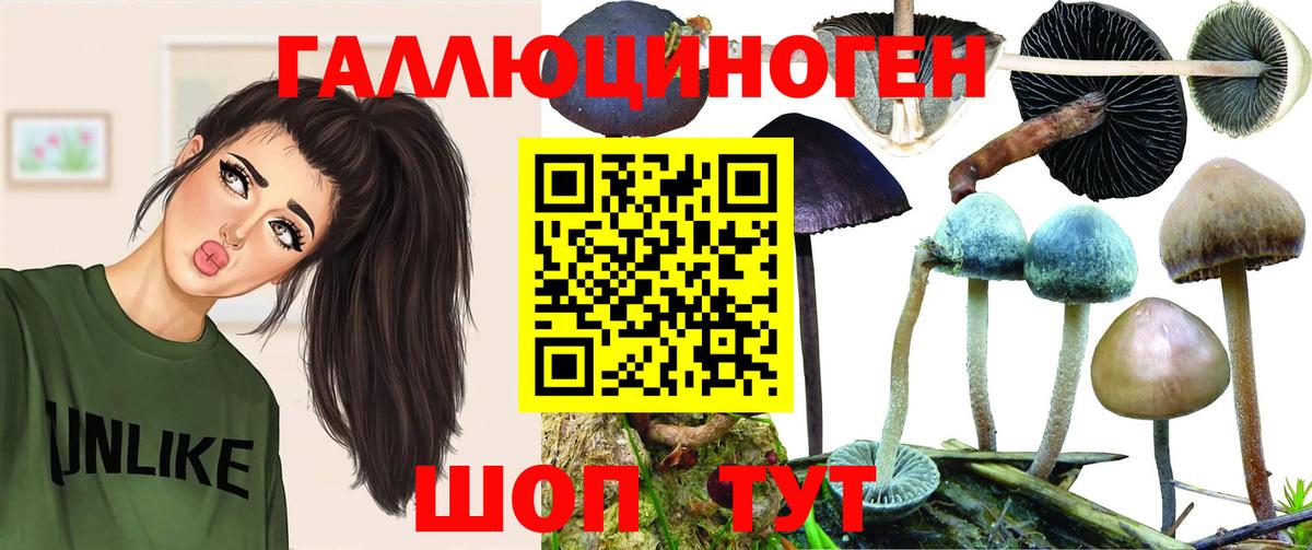 Ялта  Псилоцибиновые грибы прущие грибы  Вход с VPN 